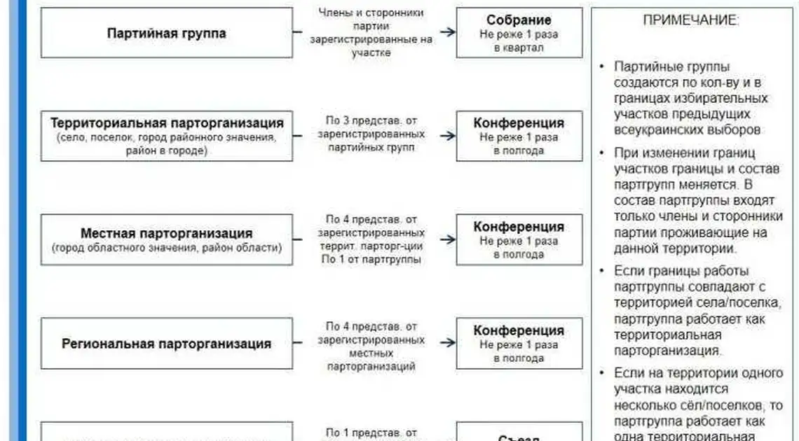 Ларін віртуально розповів про свою нову партію: профілактика «регіоналізму», «вождізму» та «консервації» (ФОТО) фото 1