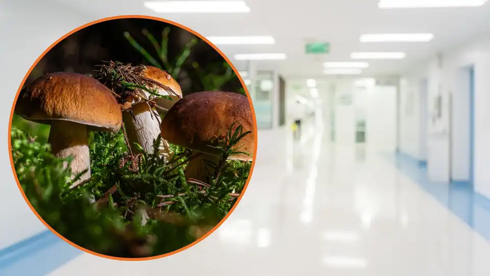 “Вчасно звернулись”: що відомо про стан  матері та доньки, які отруїлися грибами на Кіровоградщині