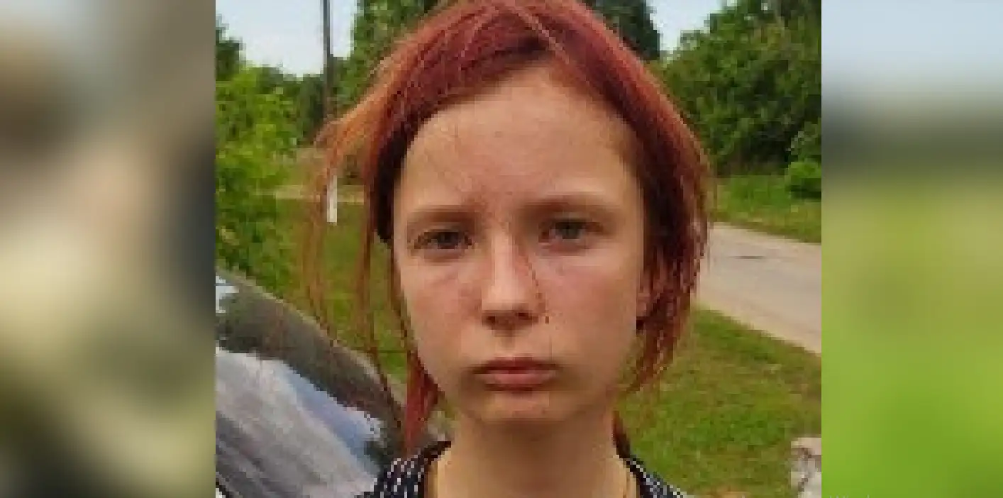 розшук