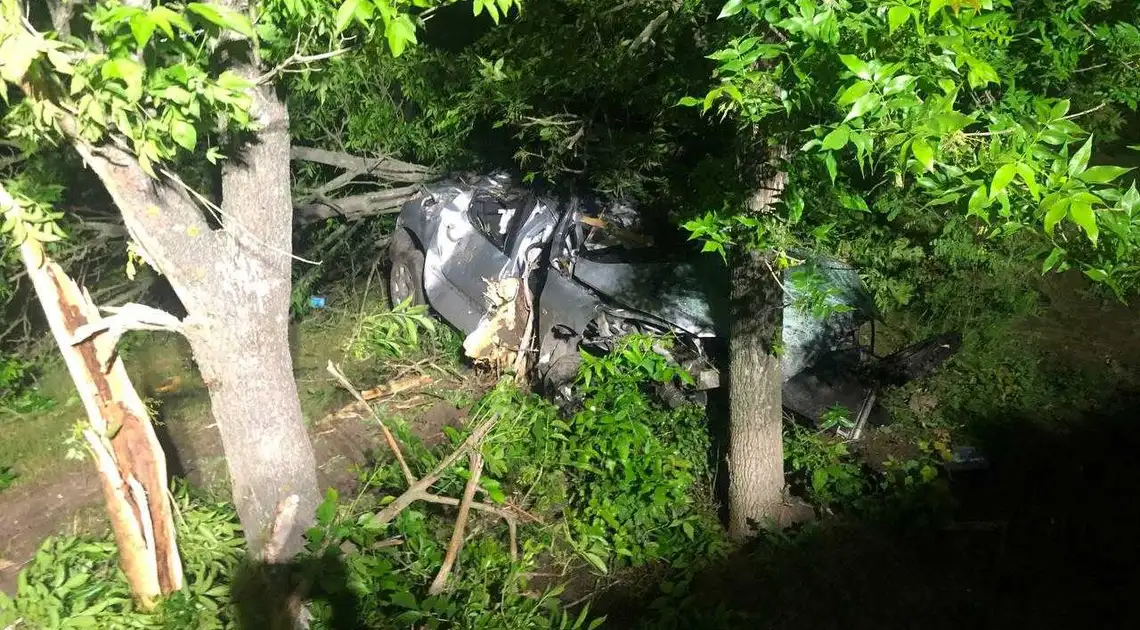 На Кіровоградщині автівка в’їхала в дерево, водій загинув на місці (ФОТО) фото 1