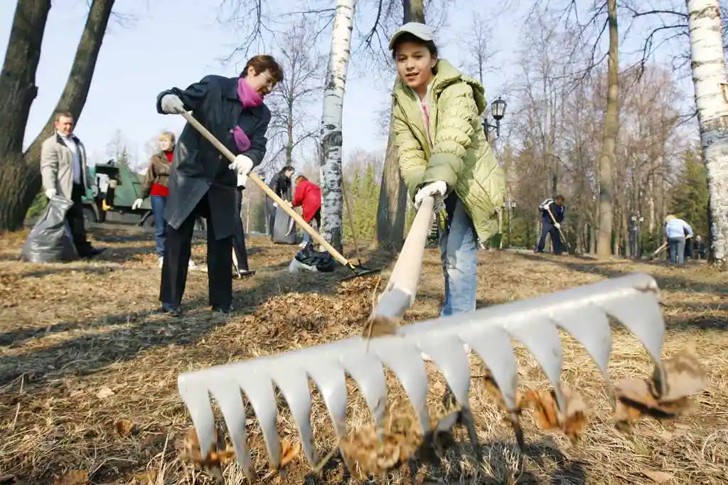 Стало відомо, коли жителів Кіровоградщини виженуть на суботник фото 1