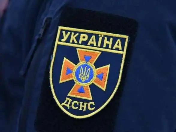 У Кропивницькому врятували хлопчика, який не міг злізти з дерева (ФОТО)
