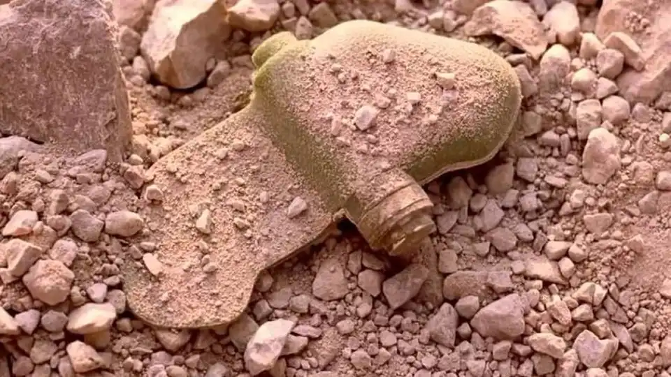 Міна-пелюстка