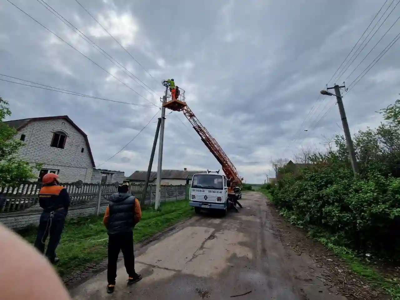 відновили гніздо лелеки у селі Нова Павлівка Кіровоградської області