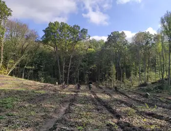 На Кіровоградщині висадили понад 30 тисяч дерев (ФОТО) фото 1