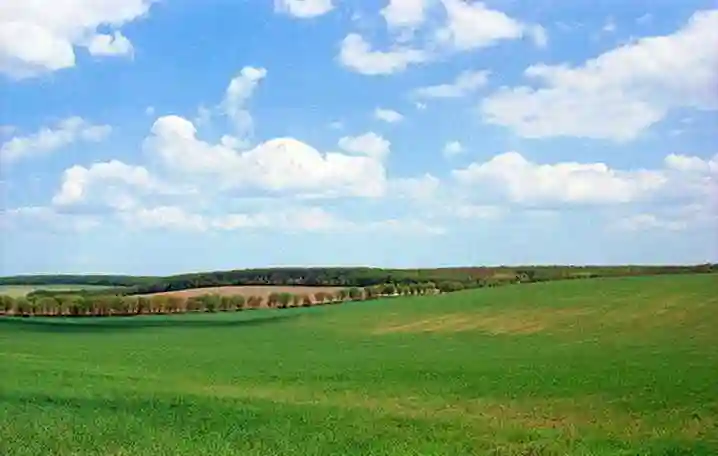 Місцевість на Кіровоградщині увійшла до топ-8 найхимерніших місць України (ФОТО) фото 1