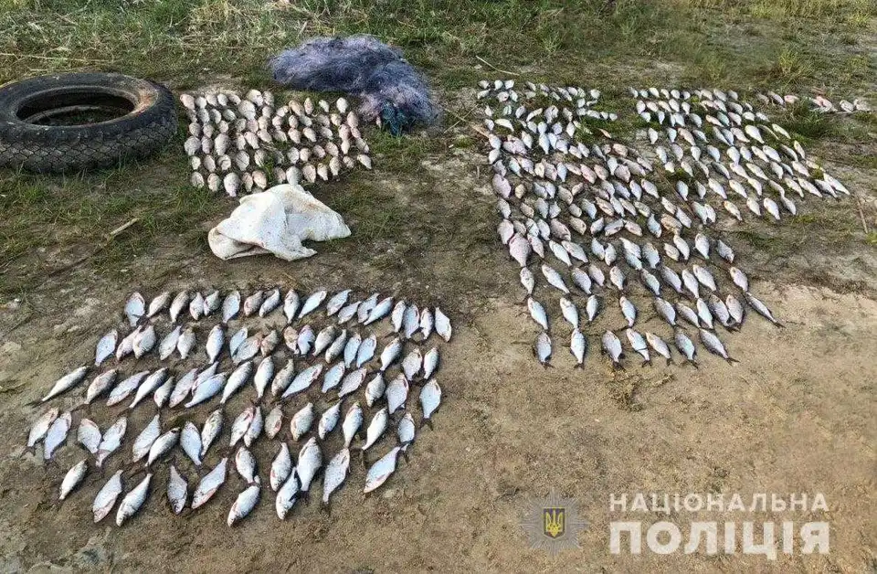 На Кіровоградщині затримали 9 браконьєрів, які виловлювали рибу в нерест (ФОТО)