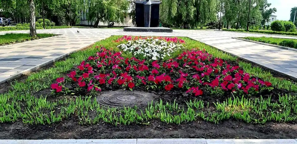 Андрій Райкович прокоментував розкрадання квітів з клумб Кропивницького