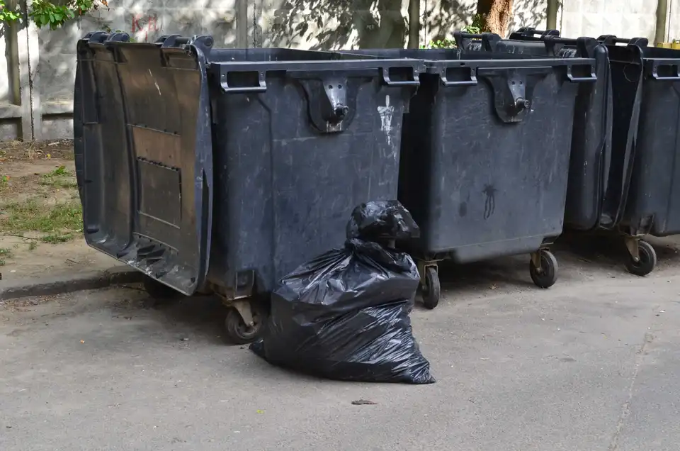 У Кропивницькому в приватному секторі просять встановити сміттєві контейнери фото 1