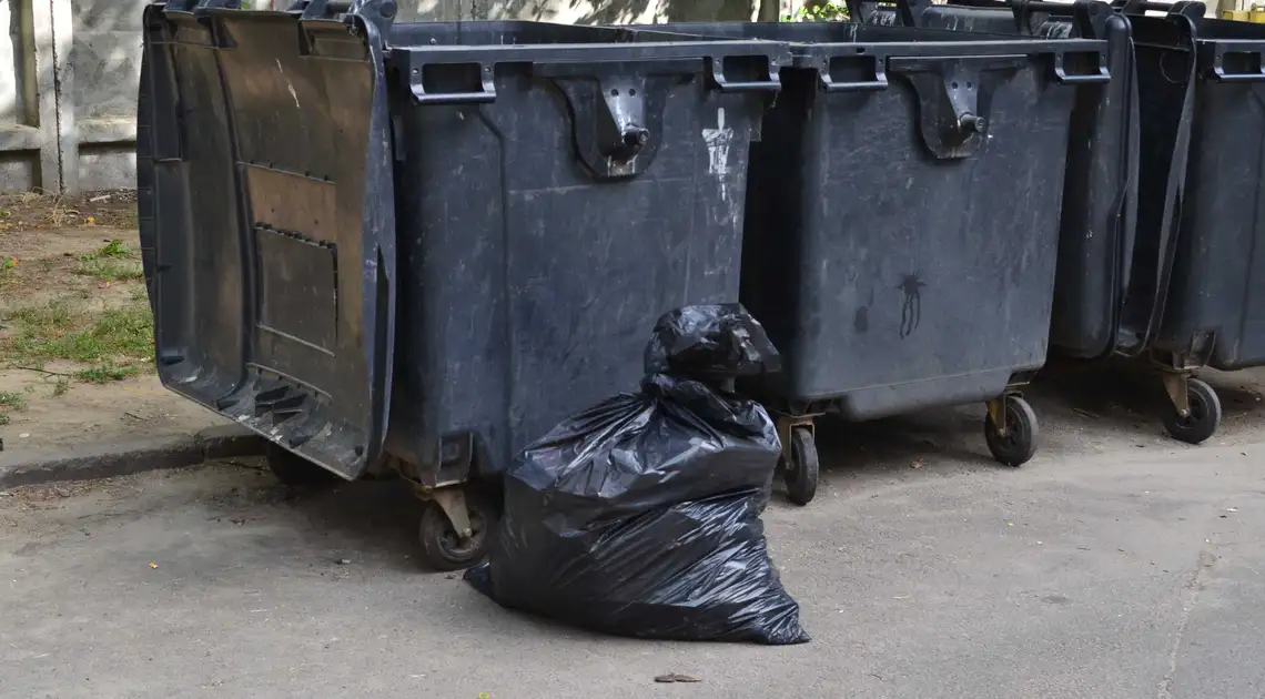 У Кропивницькому в приватному секторі просять встановити сміттєві контейнери фото 1