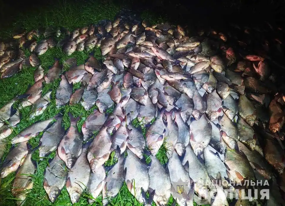 На Кіровоградщині викрили двох рибалок, які незаконно виловили 170 кг риби (ФОТО) фото 1