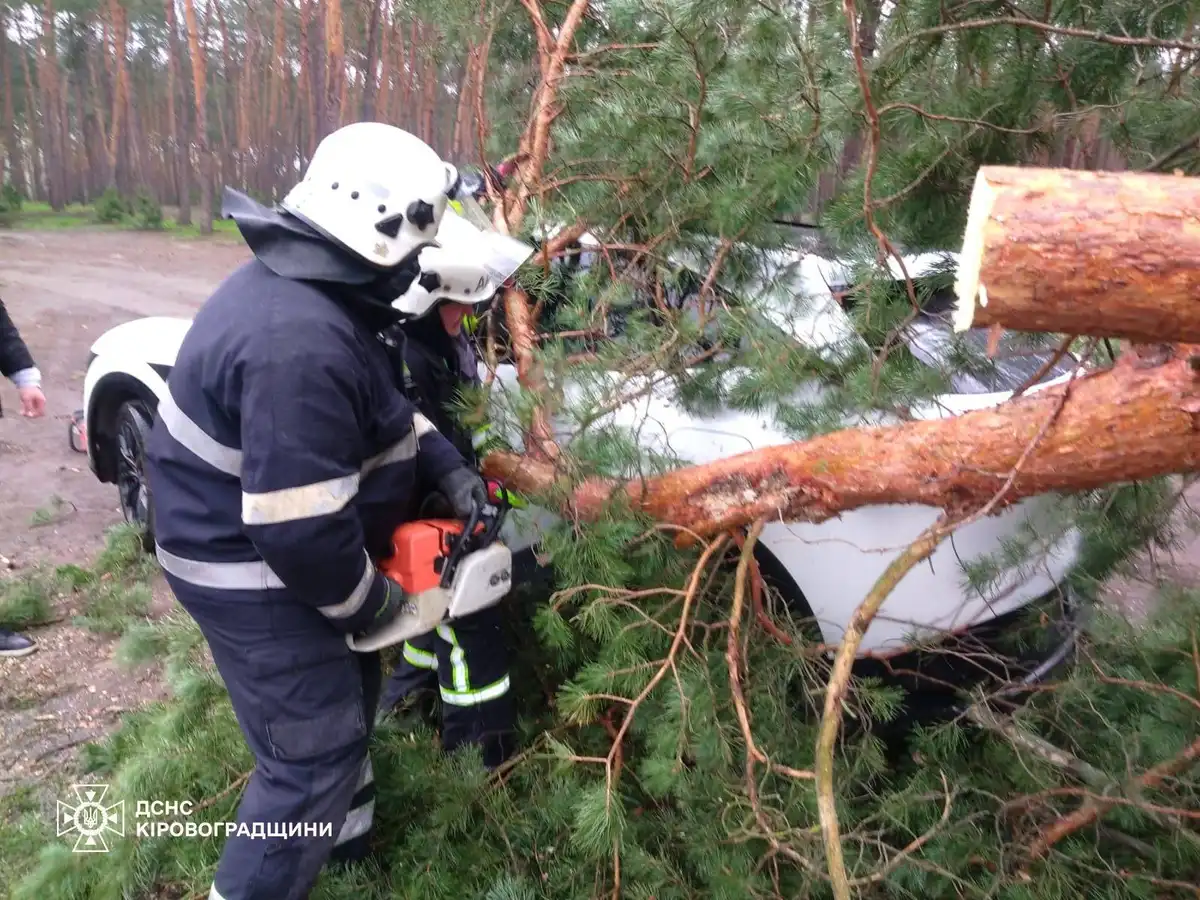 наслідки негоди в Кропивницькому