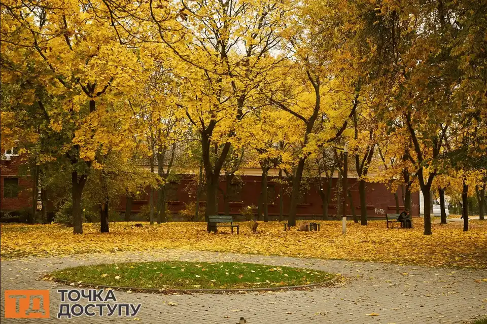 погода на вихідні у листопаді