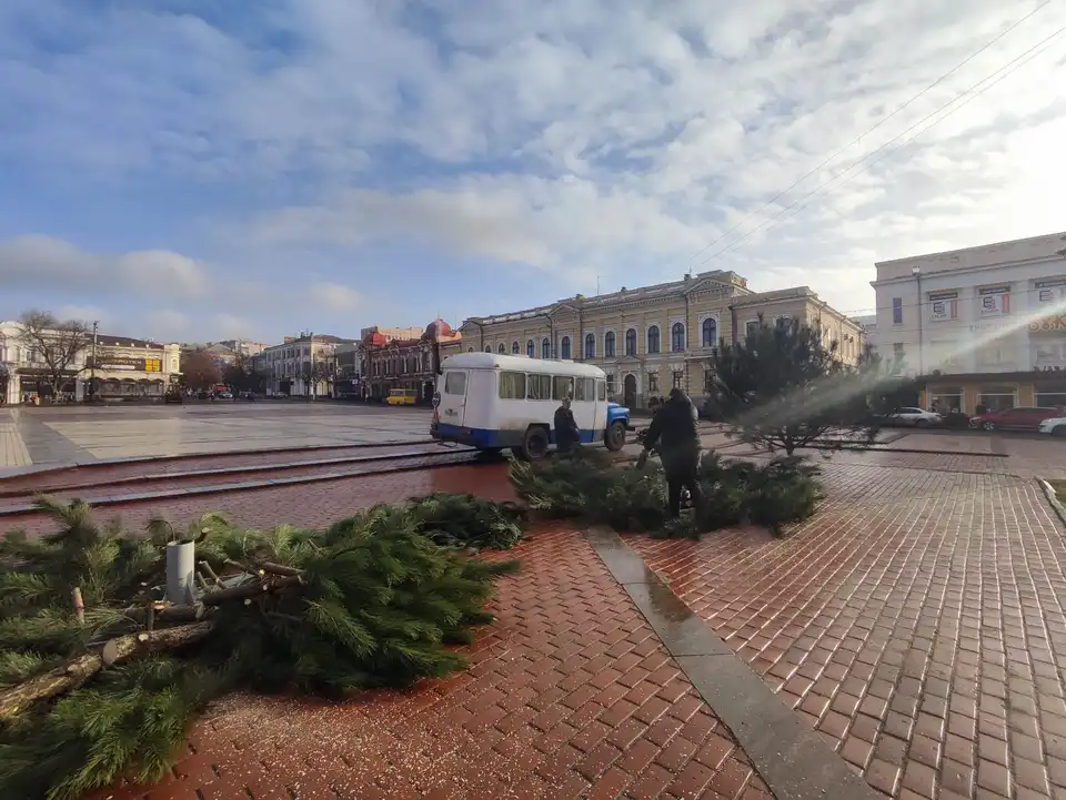 демонтаж ялинок у Кропивницькому