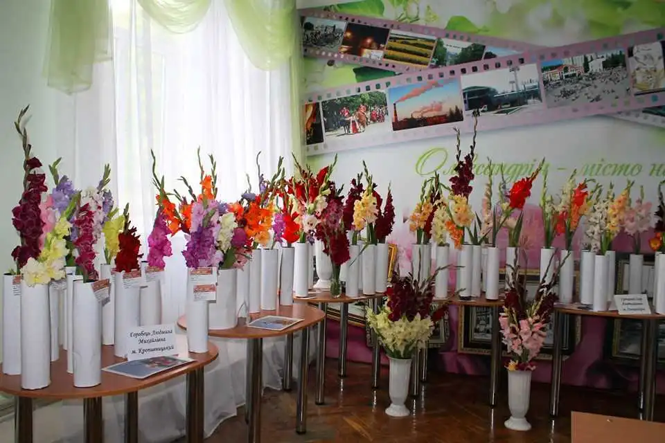 Цього тижня на Кіровоградщині відбудеться фестиваль гладіолусів