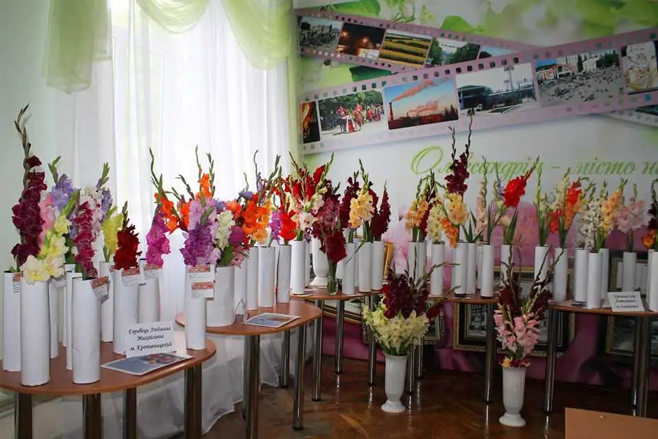 Цього тижня на Кіровоградщині відбудеться фестиваль гладіолусів фото 1