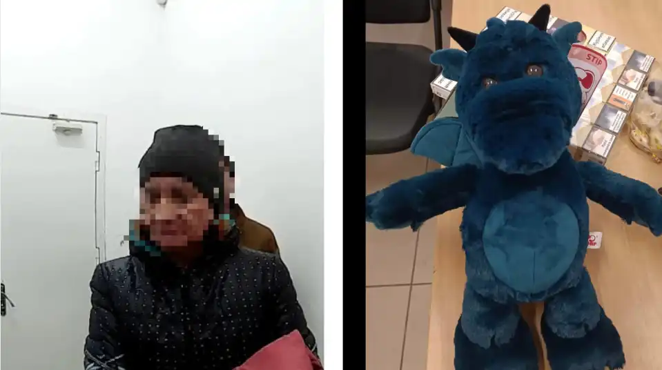 крадіжка у Кропивницькому