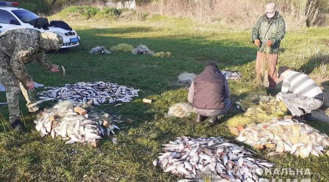 На Кіровоградщині вилучили незаконно виловленої риби на понад 4 млн гривень фото 1
