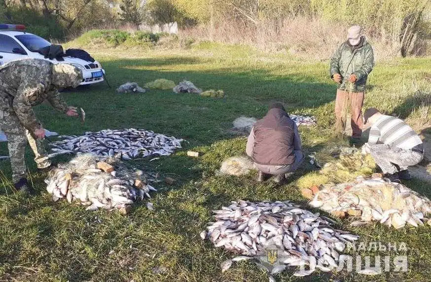 На Кіровоградщині вилучили незаконно виловленої риби на понад 4 млн гривень фото 1