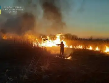 На Кіровоградщині сталося 32 пожежі, на одній з них врятували 52-річного чоловіка фото 1