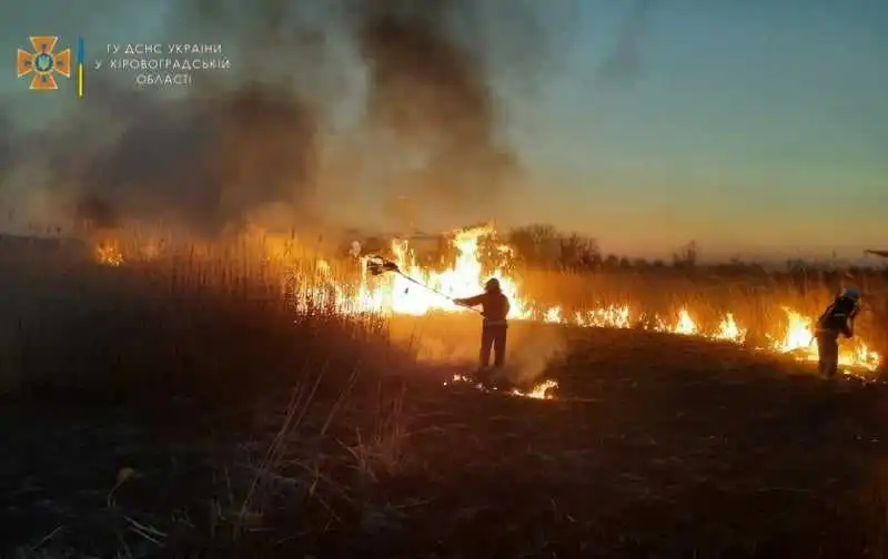 На Кіровоградщині сталося 32 пожежі, на одній з них врятували 52-річного чоловіка