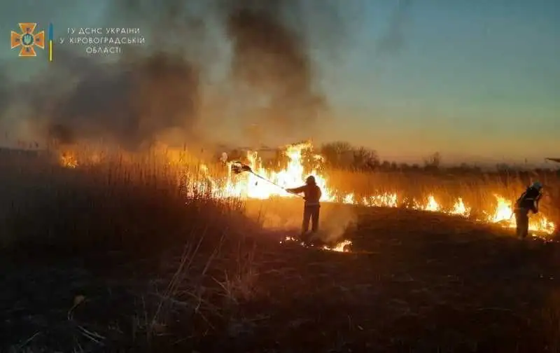На Кіровоградщині сталося 32 пожежі, на одній з них врятували 52-річного чоловіка фото 1