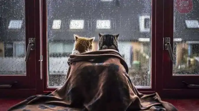 Дощі та холод: якою буде погода на початку червня на Кіровоградщині