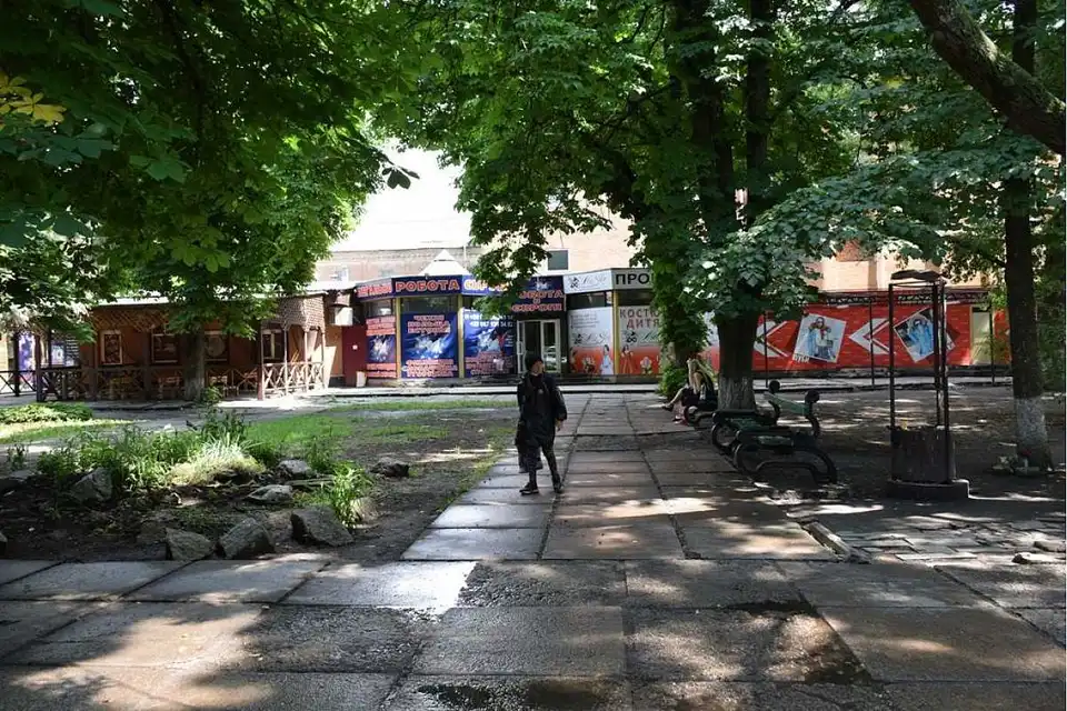 Кропивничани влаштують акцію проти знищення дерев у сквері через будівництво "МакДональдз"