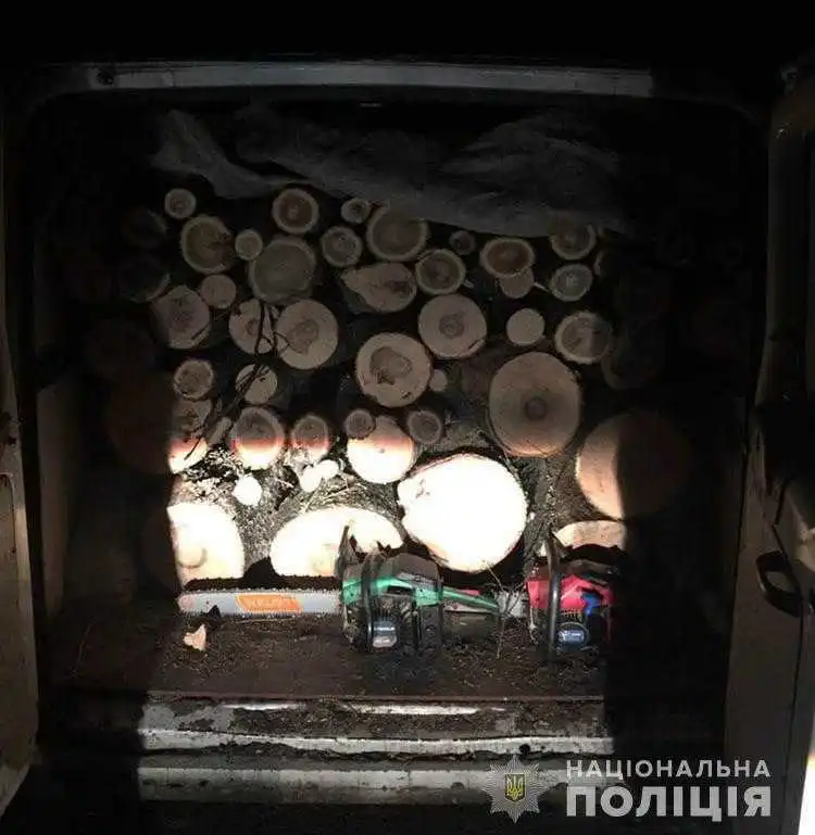 На Кіровоградщині затримали "чорних лісорубів" із ясеном та акацією (ФОТО) фото 1