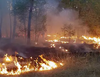 пожежа лісу