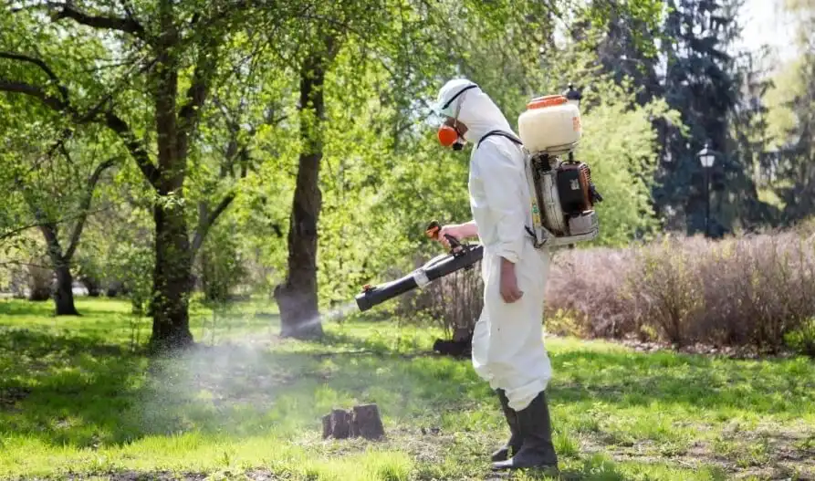 сезон кліщів у Кропивницькому