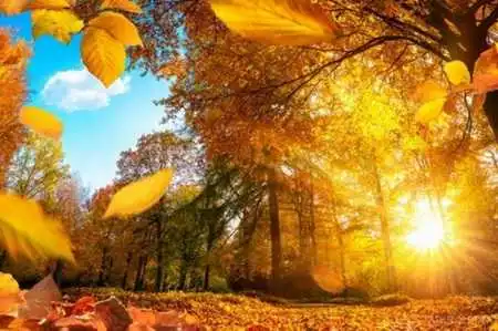 Грози, сніг та заморозки: синоптик розповів що чекати українцям у жовтні