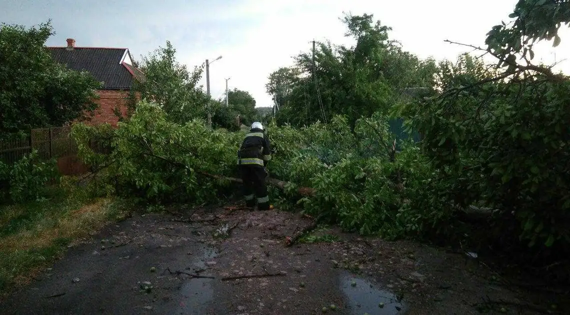 Повалені дерева та знеструмлені населені пункти: наслідки негоди на Кіровоградщині (ФОТО) фото 1