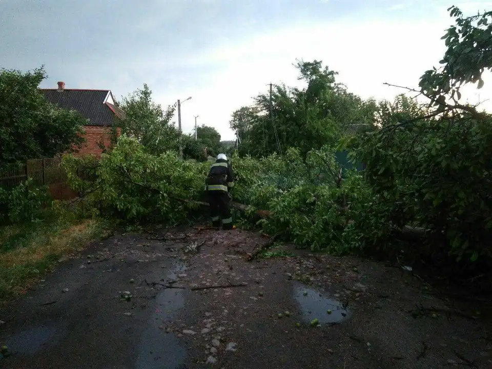 Повалені дерева та знеструмлені населені пункти: наслідки негоди на Кіровоградщині (ФОТО)
