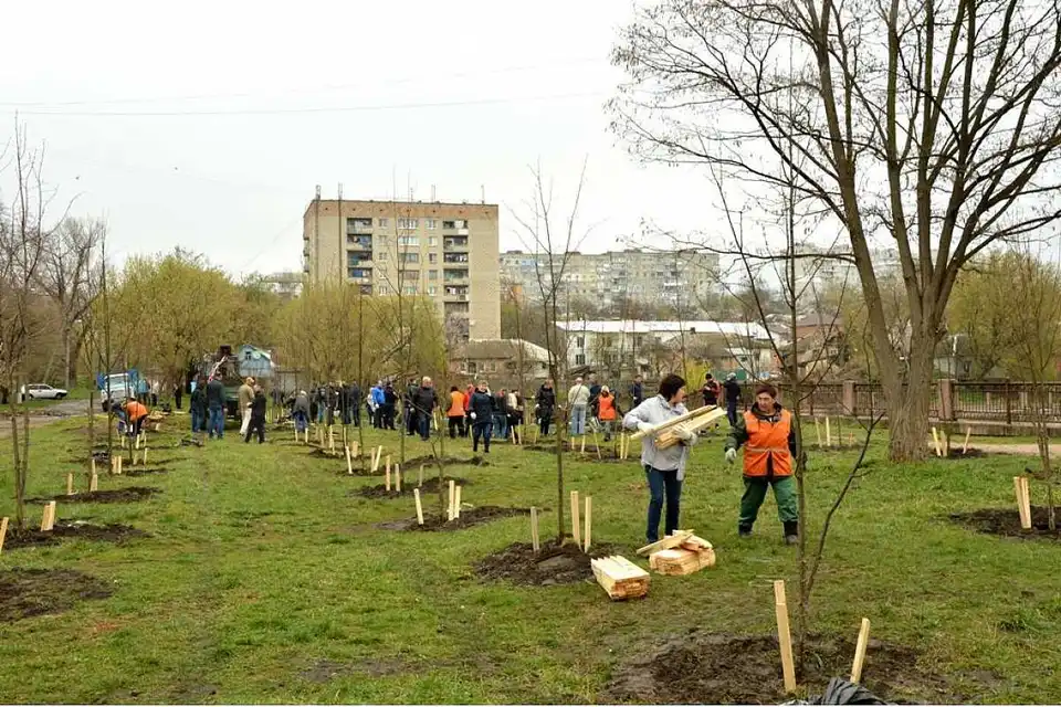 У Кропивницькому в рік 265-річчя заснування міста висадили 265 молодих лип (ФОТО)