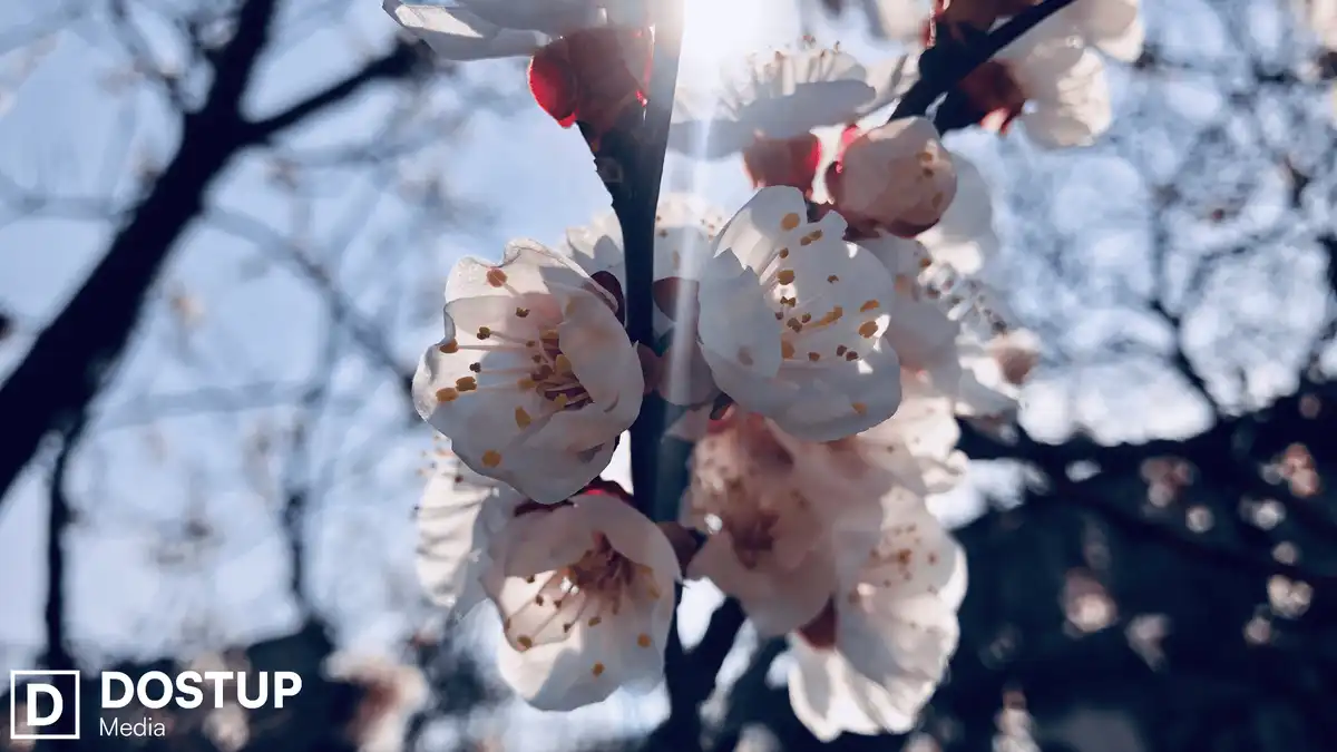 погода на Великдень Кропивницький