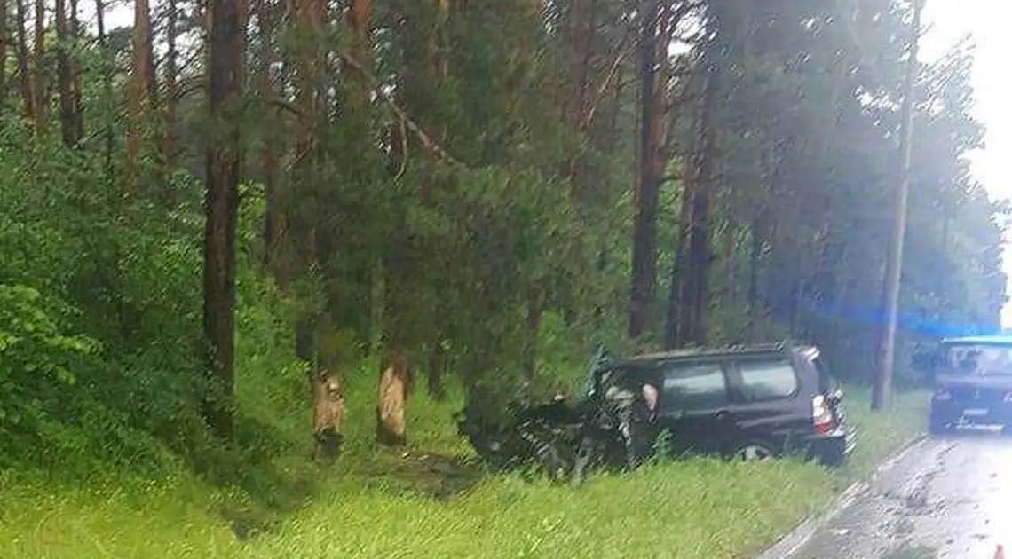 У Кропивницькому Subaru влетіла в дерево, водія госпіталізували фото 1