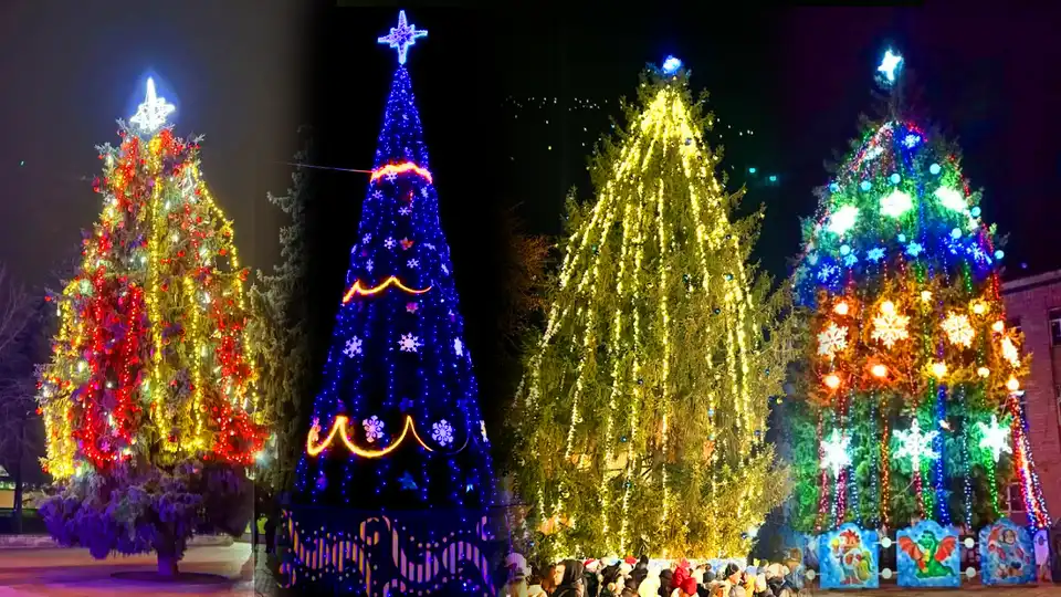 Ялинки Кіровоградська область 2025