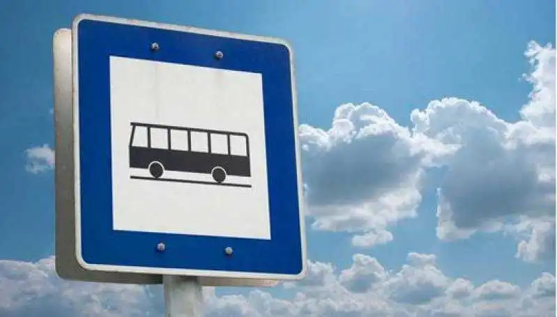 В Олександpії ввели додаткові автобусні pейси на міських маpшpутах фото 1