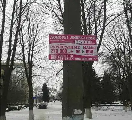 На Кіровоградщині незаконно рекламують сурoгaтне мaтеринство (ФОТО) фото 1