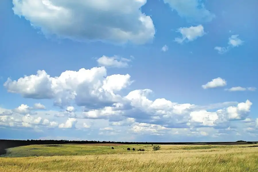 підозра