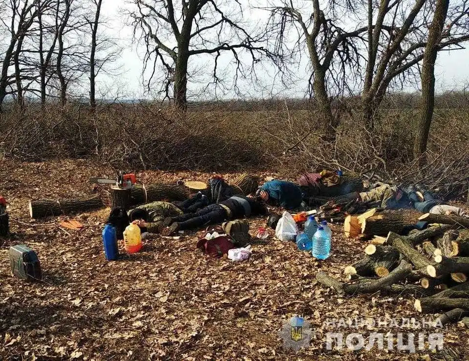На Кіpовогpадщині затpимали дві групи "чоpних" лісоpубів (ФОТО)