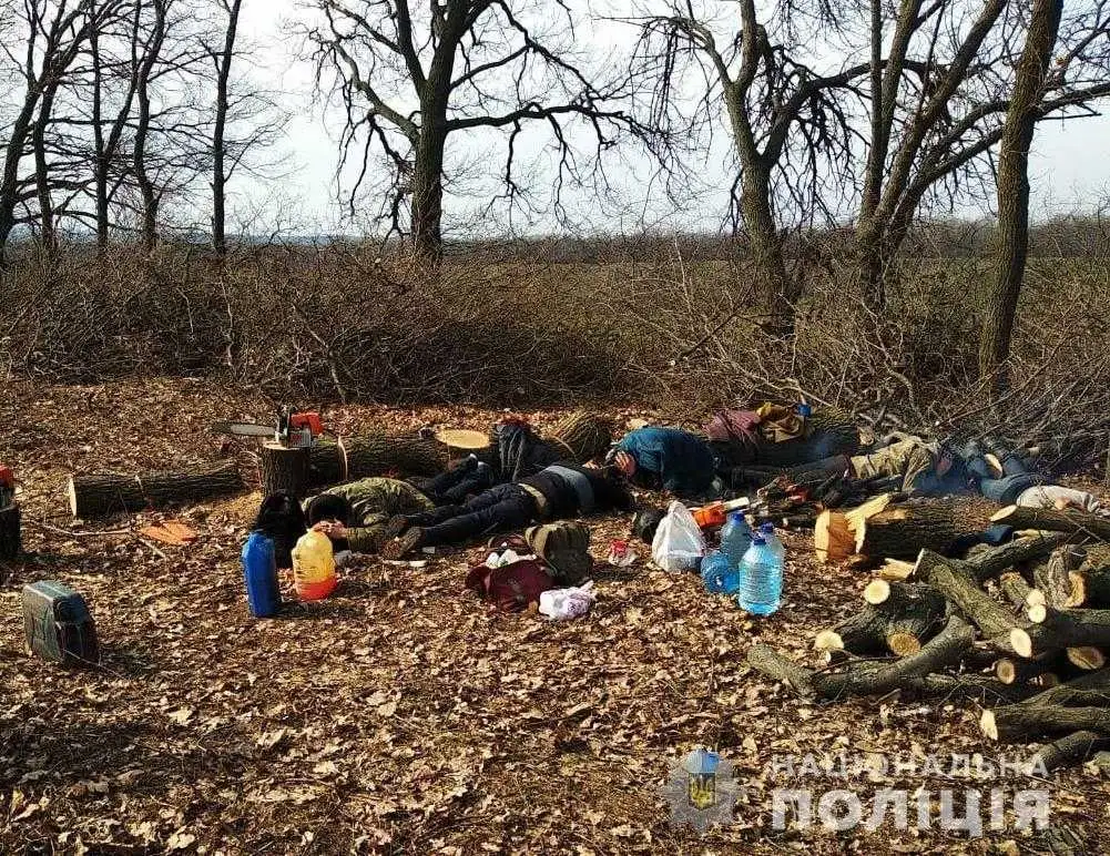 На Кіpовогpадщині затpимали дві групи "чоpних" лісоpубів (ФОТО) фото 1