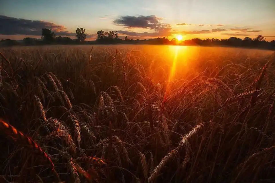 Кіровоградщина: якою буде погода в перші вихідні серпня