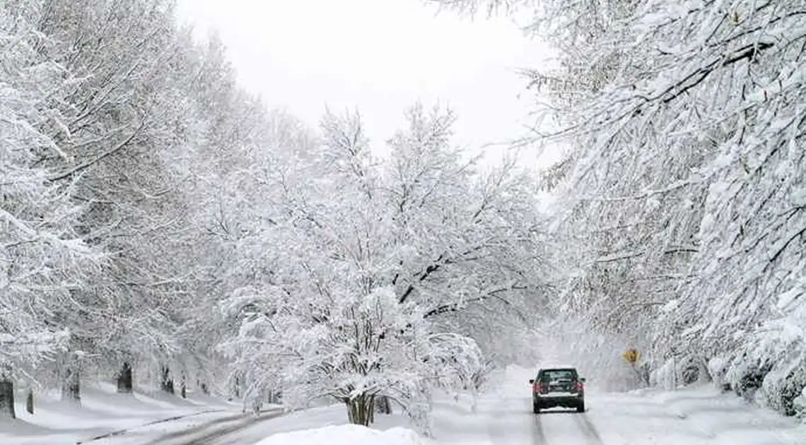 Снігопад продовжиться: відзавтра на Кіровоградщині погіршаться погодні умови фото 1