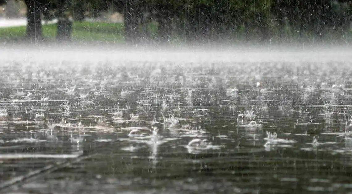 Сьогодні на Кіровоградщині прогнозують дощі й грози фото 1