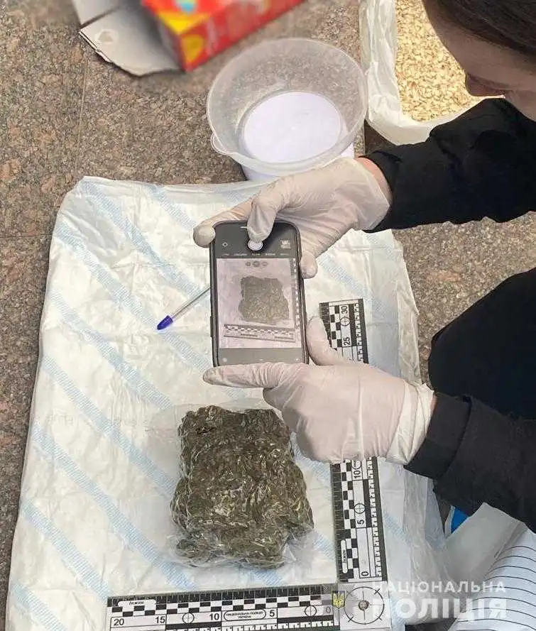 На Кіровоградщині поліцейські затримали двох чоловіків за продаж наркотиків фото 1