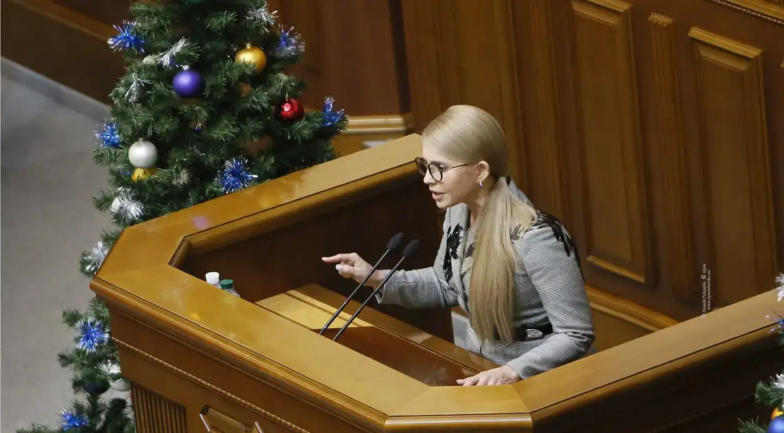 Тимошенко запропонувала нову дієву стратегію роботи з трудовою міграцією фото 1