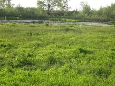 Без обмеженої відповідальності: підприємству на Кіровоградщині довелося і землю повернути, і мільйон заплатити фото 1