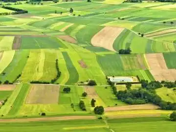 На Кіровоградщині повернули 37 га землі вaртістю 790 тисяч гривень фото 1